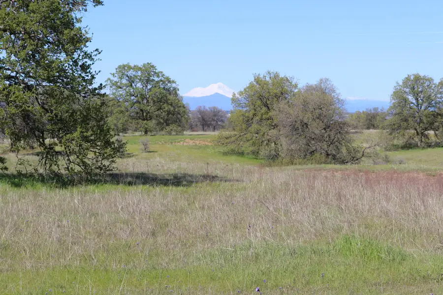 LOT 22 Bay Meadows Lane, Cottonwood, CA 96022 - #2