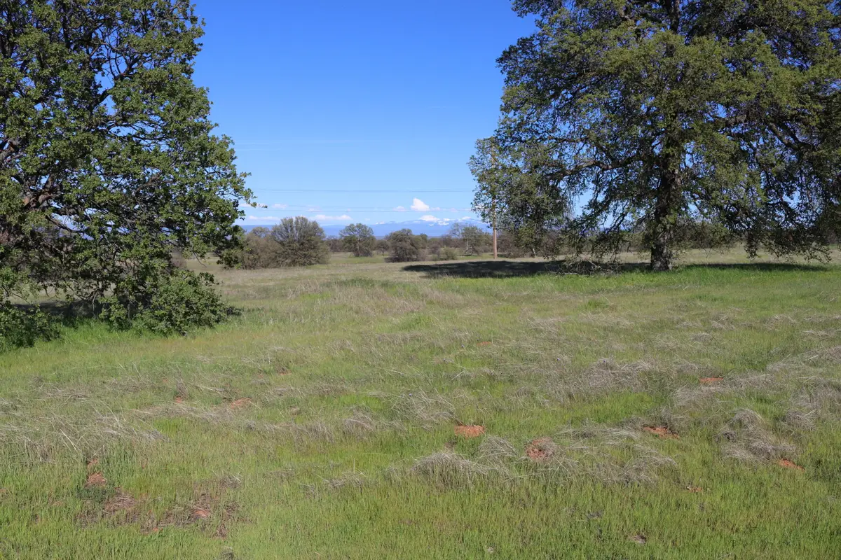 LOT 54 Arlington Park Place, Cottonwood, CA 96022 - #1
