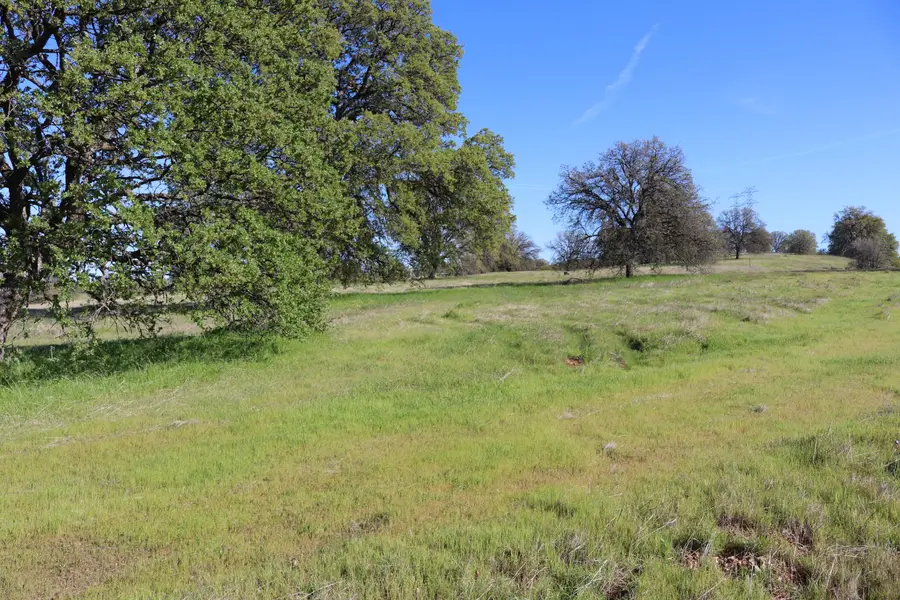 LOT 54 Arlington Park Place, Cottonwood, CA 96022 - #3