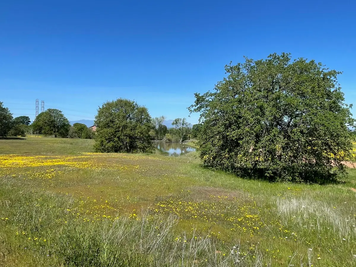 LOT 71 Arlington Park Place, Cottonwood, CA 96022 - #1