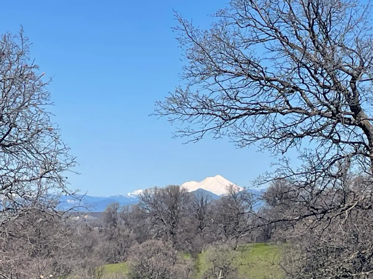 LOT 59 Pimlico Court, Cottonwood, CA 96022 - #1