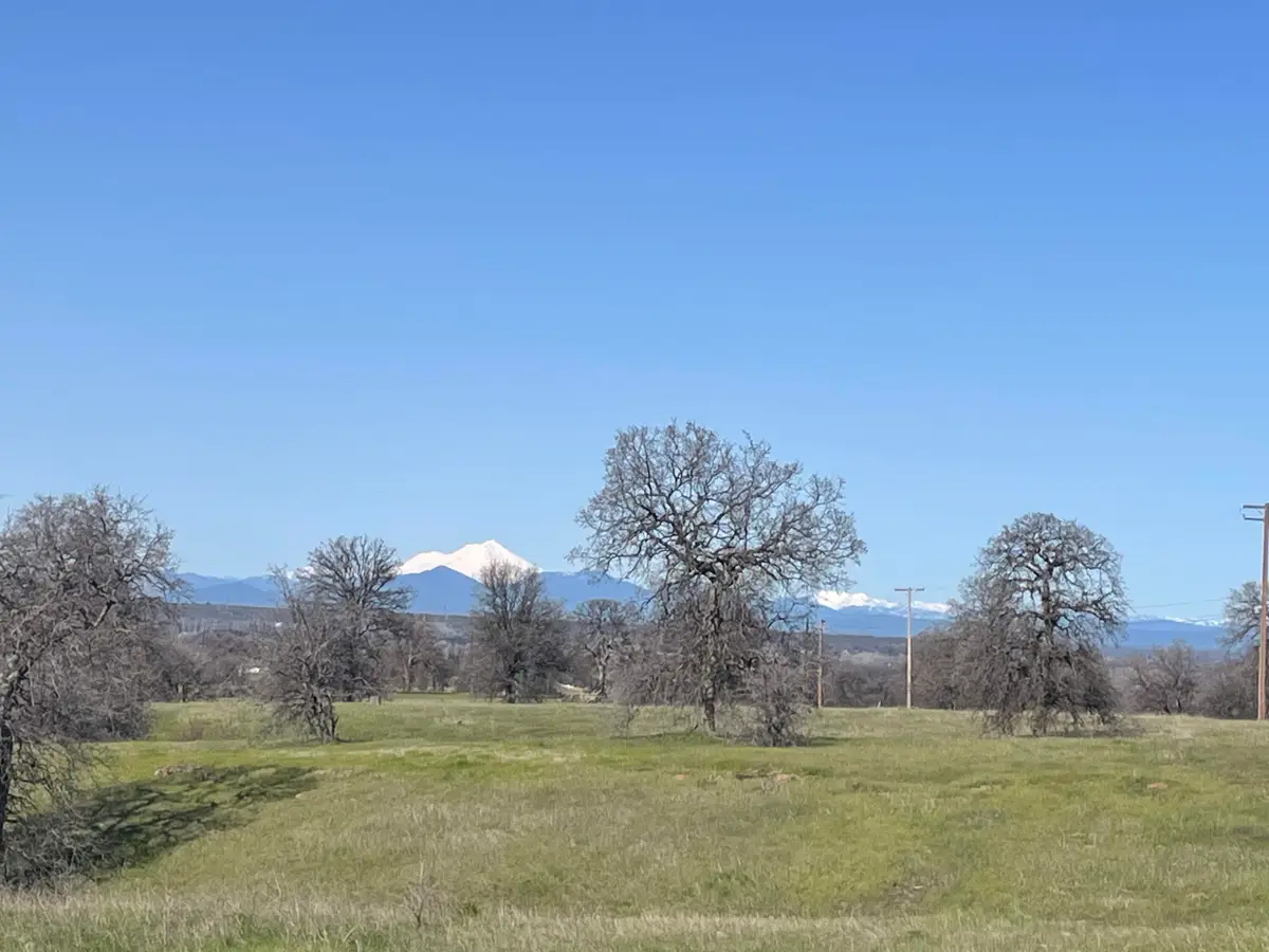 LOT 70 River Downs Way, Cottonwood, CA 96022 - #1