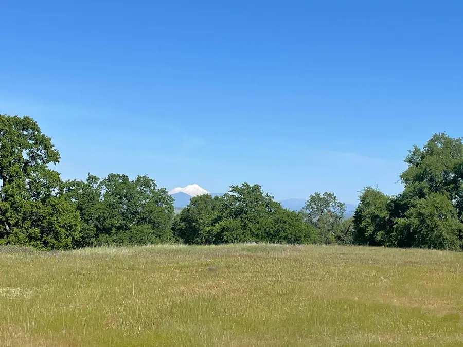 LOT 75 River Downs Way, Cottonwood, CA 96022 - #2