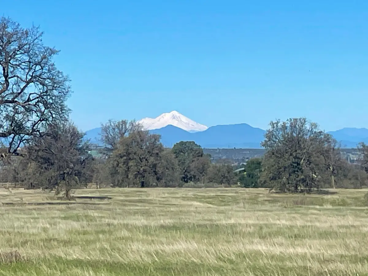 LOT 43 River Downs Way, Cottonwood, CA 96022 - #1