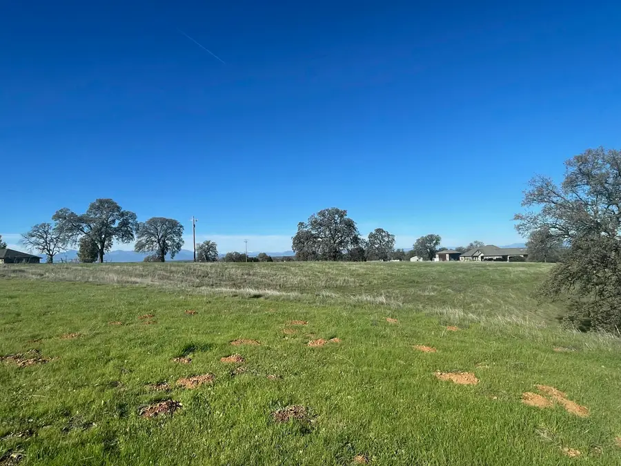 LOT 46 Del Mar Drive, Cottonwood, CA 96022 - #3