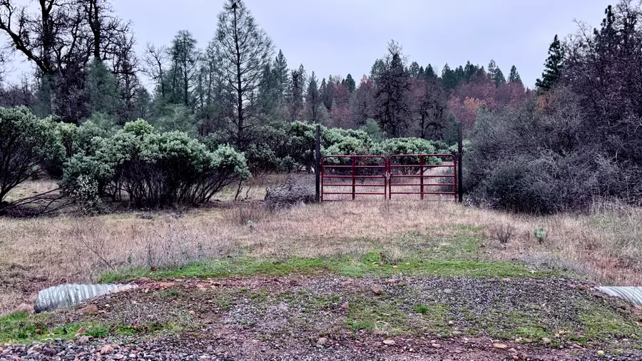 15.77 Acres, Dittman Road, Montgomery Creek, CA 96065 - #2