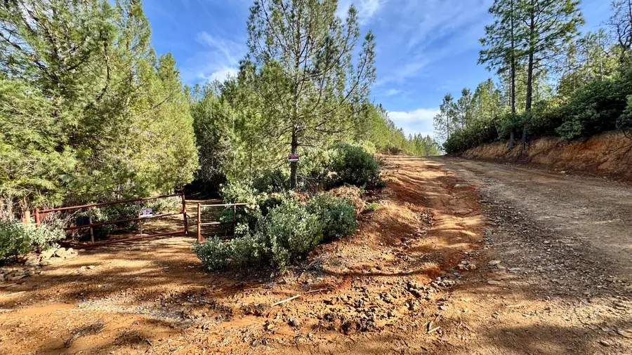 20 Acres Jones Valley, Jones Valley, CA 96008 - #3