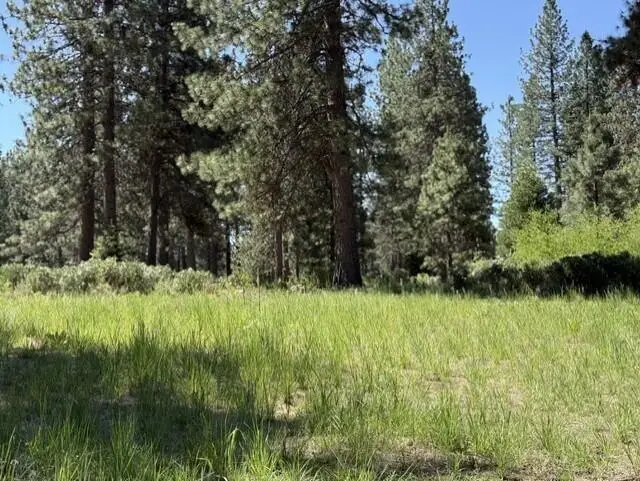 Lot 13 Haul Road, McCloud, CA 96057 - #1