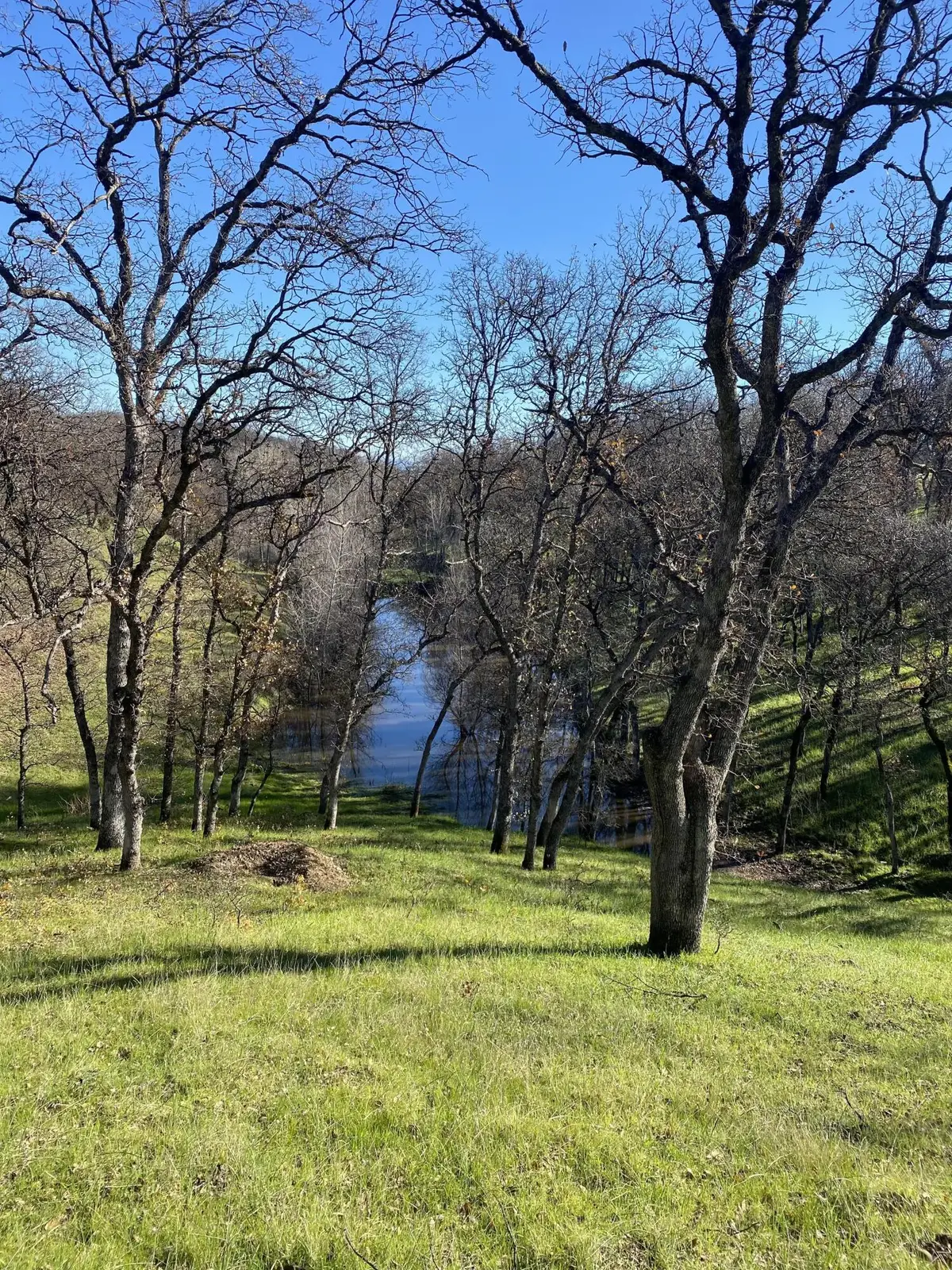000 Old Mission Drive, Red Bluff, CA 96080 - #1