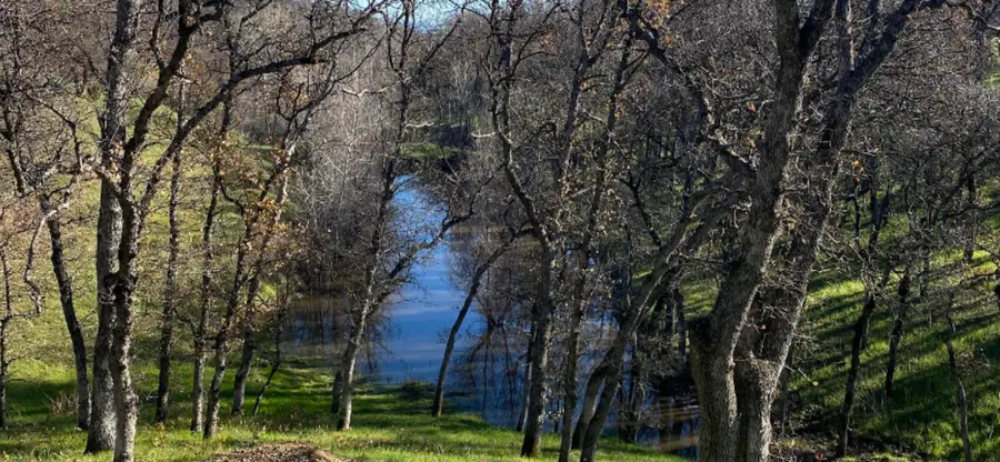 000 Old Mission Drive, Red Bluff, CA 96080 - #3