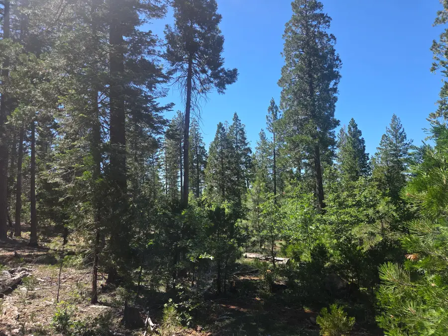 Lot 5 Waterleaf Lane, Shingletown, CA 96088 - #2