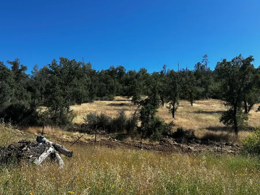 Vista La Vega, Shingletown, CA 96088 - #2