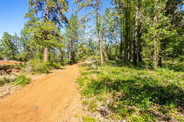 Vista La Vega, Shingletown, CA 96088