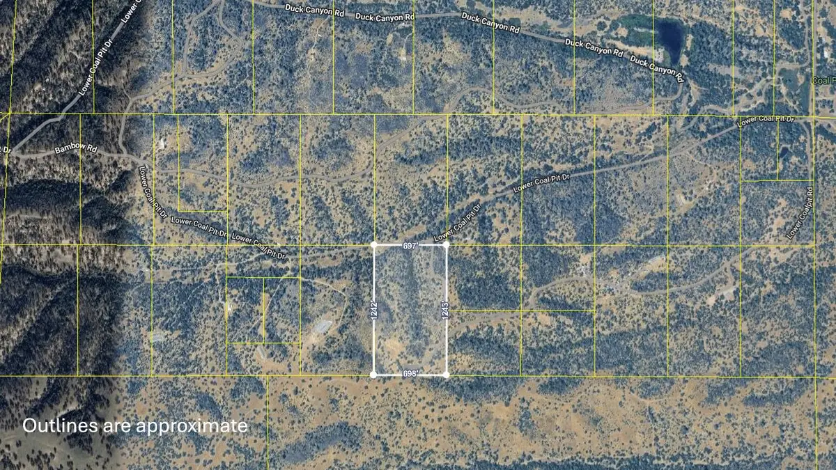 15515 Lower Coal Pit Drive, Igo, CA 96047 - #1