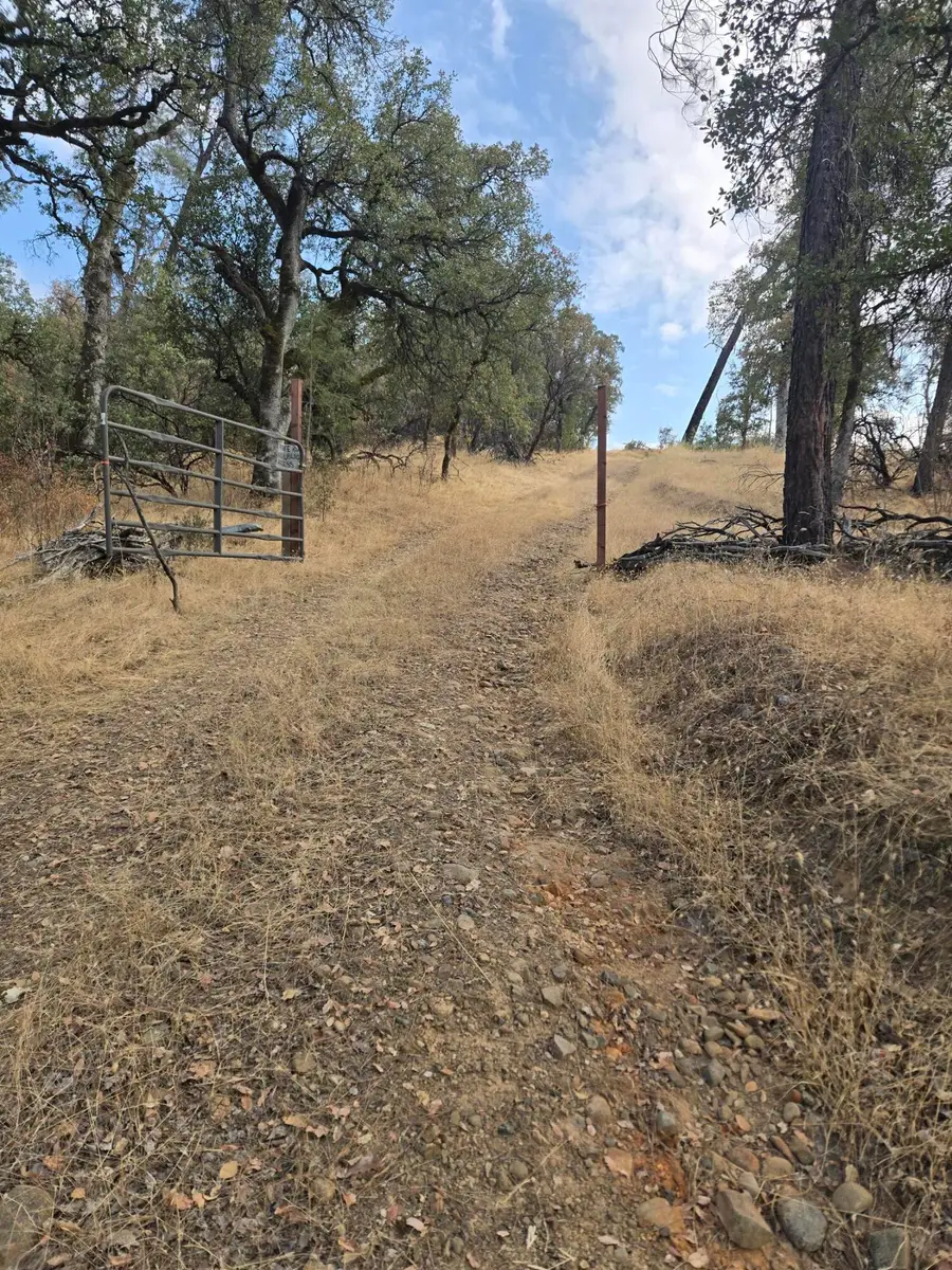 15115 Lower Coal Pit Drive, Igo, CA 96047 - #2