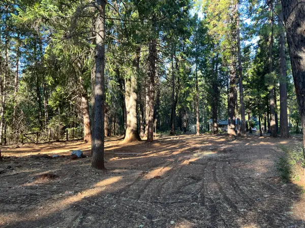 7076 Alward Way, Shingletown, CA 96088