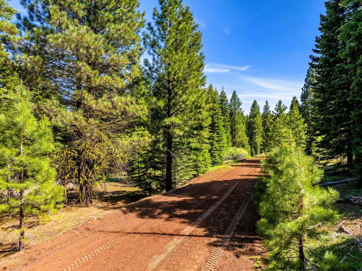 8735 Bering Road, Alturas, CA 96101 - #1