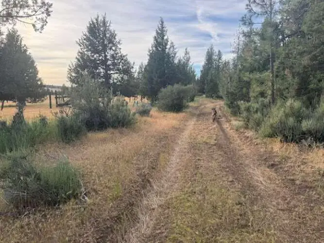 1001 Cassel Fall River Road, Fall River Mills, CA 96028 - #1