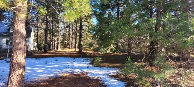 #000 Holiday Road, Mount Shasta, CA 96067 - #1