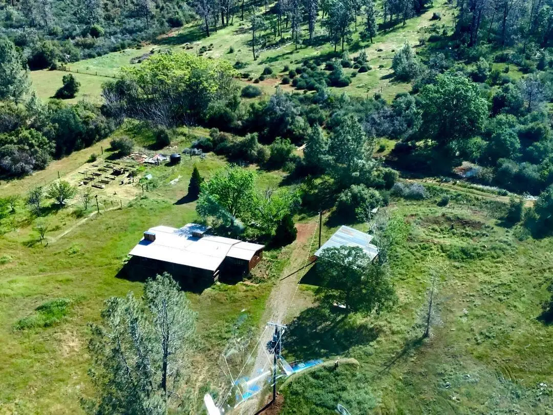 21590 Purple Place, Manton, CA 96059 - #1