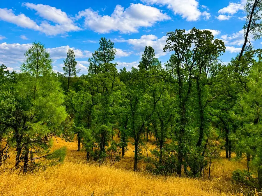 17275 Quail Ridge Road, Cottonwood, CA 96022 - #2