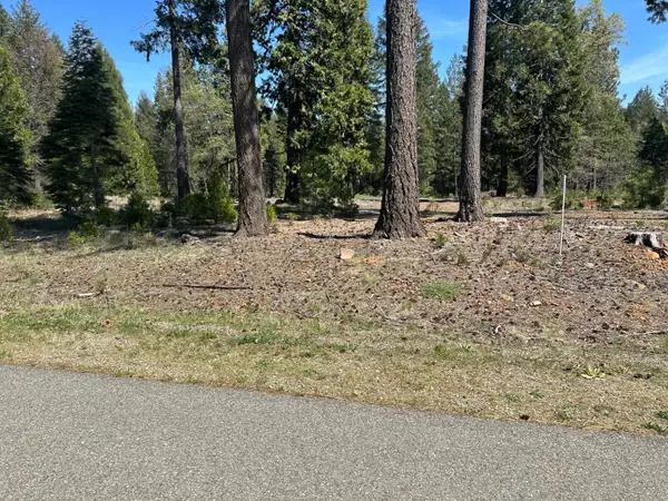 Lot 9 Princess Pine Place, Shingletown, CA 96088