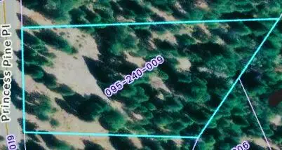 Lot 9 Princess Pine Place, Shingletown, CA 96088 - Image #2