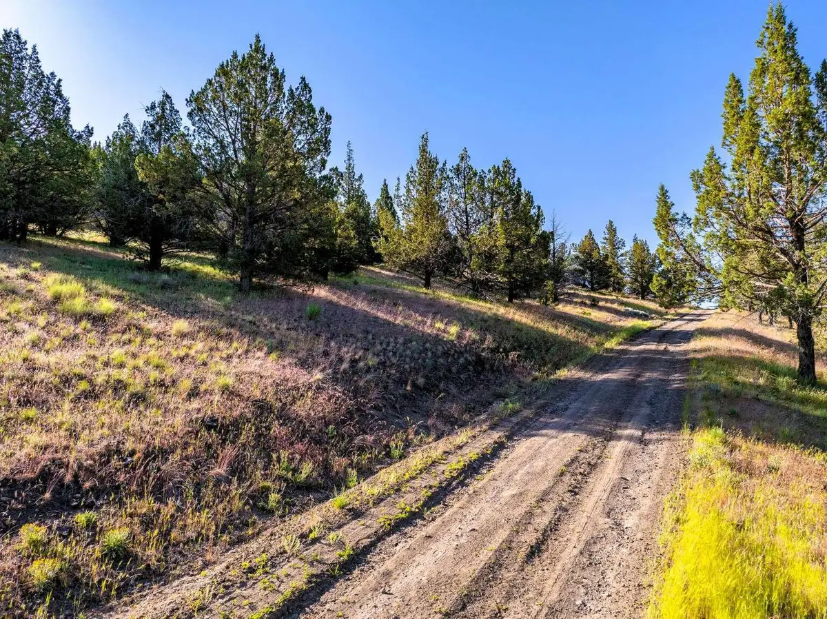 737 Raccoon Lane, Alturas, CA 96101 - #1
