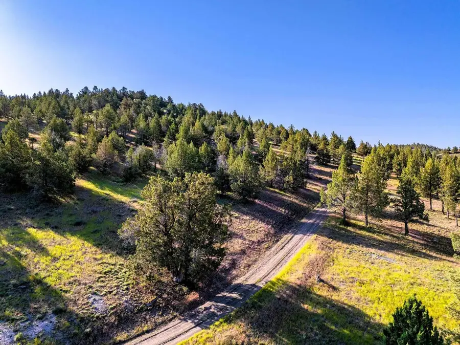 737 Raccoon Lane, Alturas, CA 96101 - #2