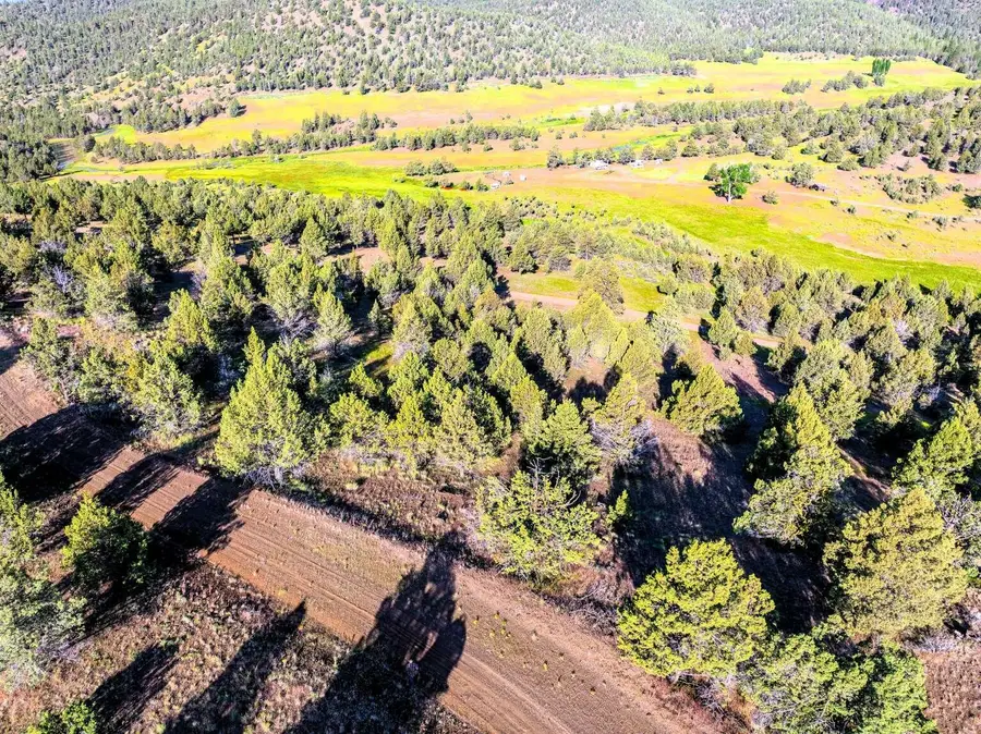 737 Raccoon Lane, Alturas, CA 96101 - #3