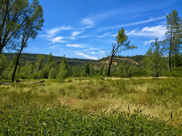 Battle View Drive, Manton, CA 96059