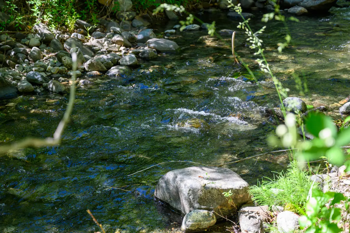 181 Meadow Road, Weaverville, CA 96093 - #1