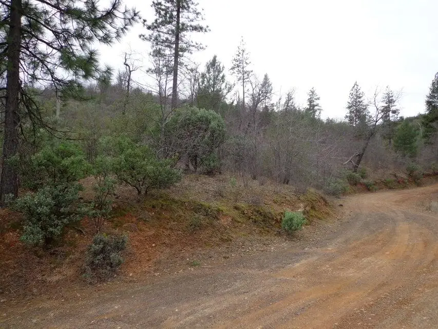 Backbone Road, Bella Vista, CA 96008 - #1