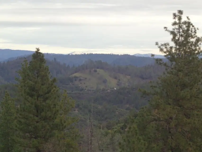Backbone Road, Bella Vista, CA 96008 - #3