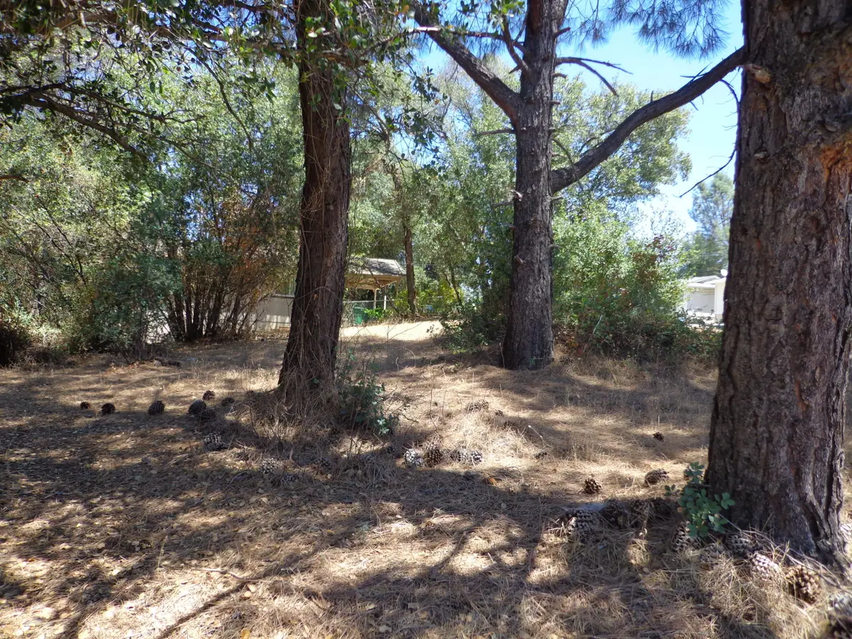 Elizabeth Street, Shasta Lake, CA 96019 - #1