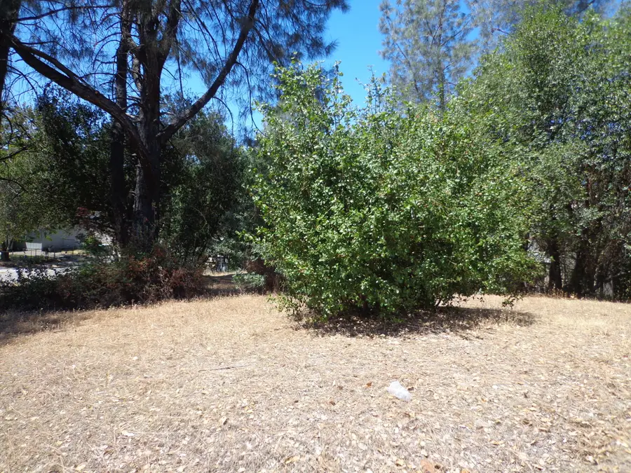 Elizabeth Street, Shasta Lake, CA 96019 - #2