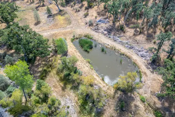 Vista La Vega, Shingletown, CA 96088