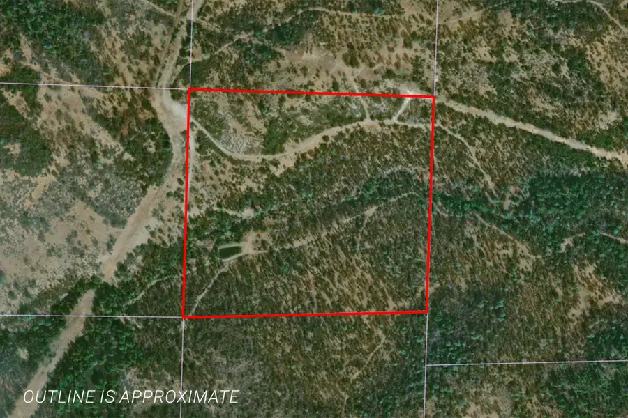 Vista La Vega, Shingletown, CA 96088 - #2