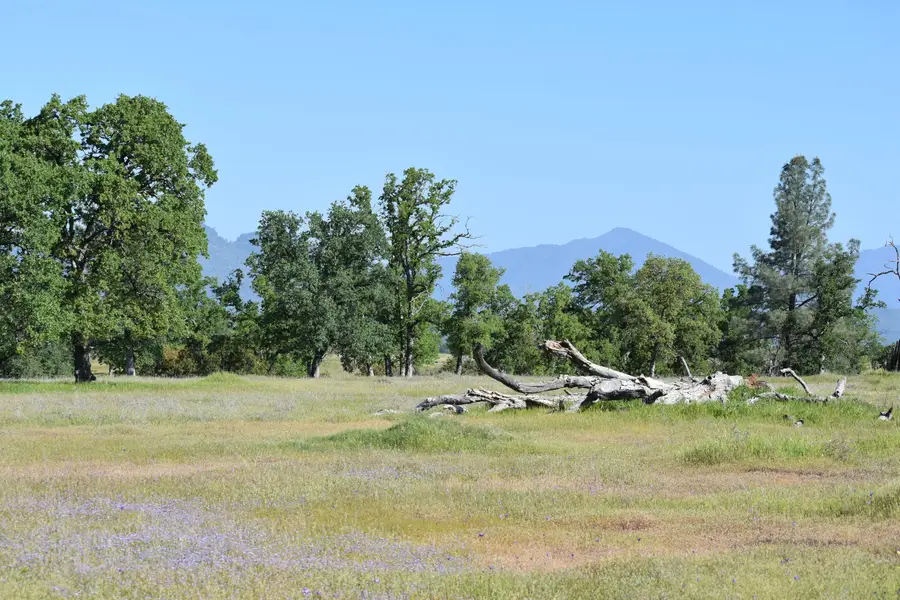 French Creek Road, Palo Cedro, CA 96073 - #2
