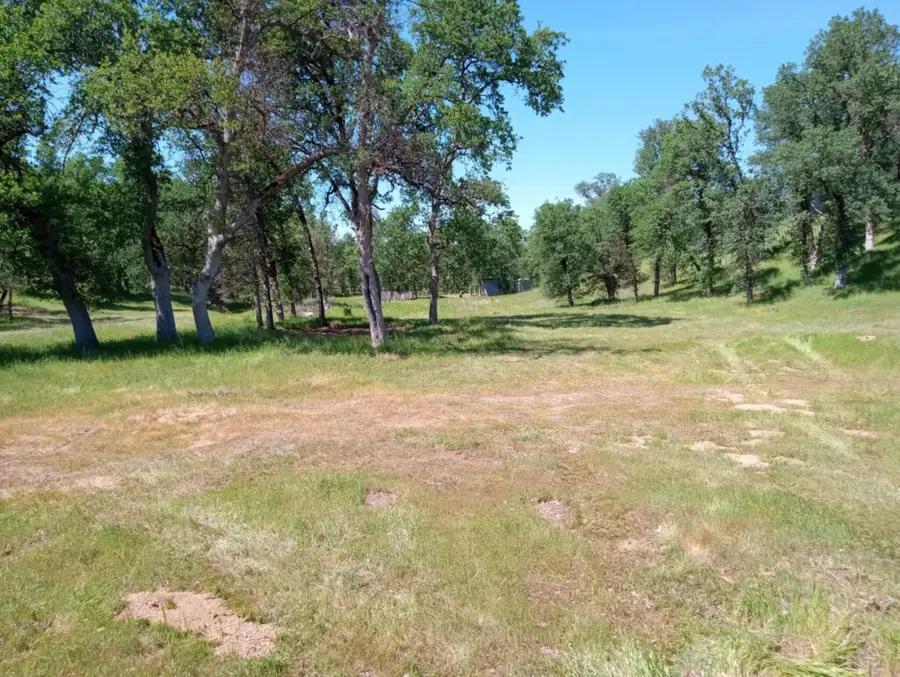 10 Acres Two Feathers Road, Cottonwood, CA 96022 - #3