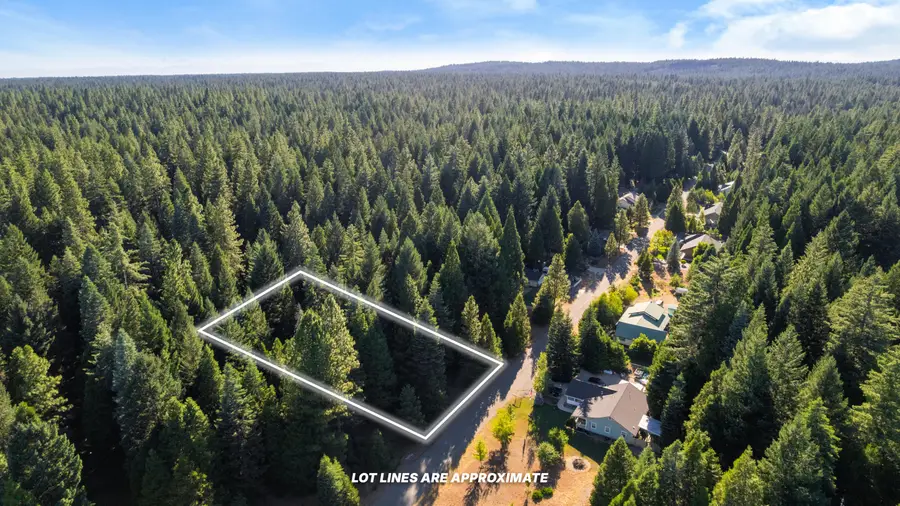 Nehemiah Drive, Shingletown, CA 96088 - #2