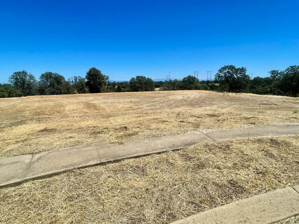 20042 Pride Mountain Court, Anderson, CA 96007 - #1
