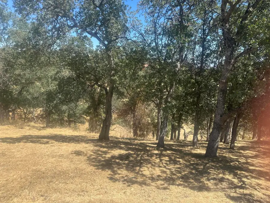 19432 Little Valley Drive, Cottonwood, CA 96022 - #2