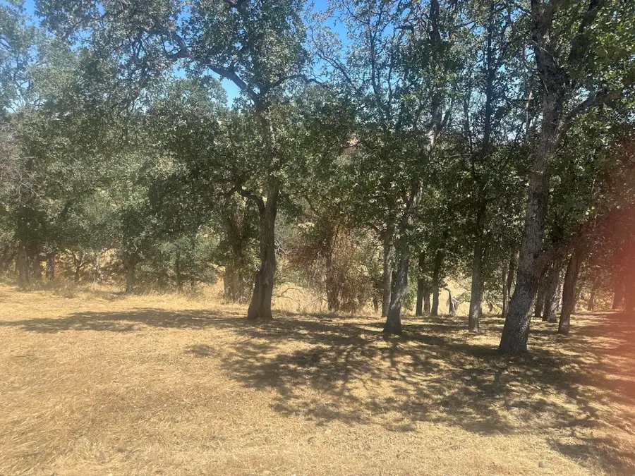 19432 Little Valley Drive, Cottonwood, CA 96022 - #3