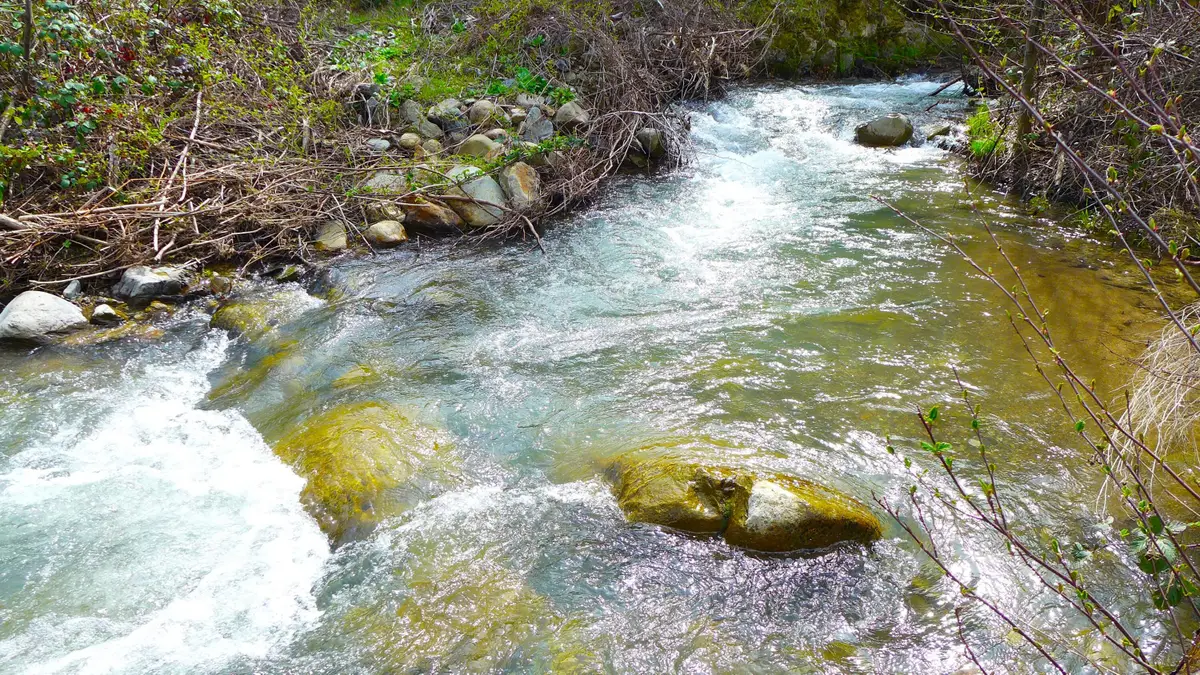 000 French Gulch Road, French Gulch, CA 96033 - #1