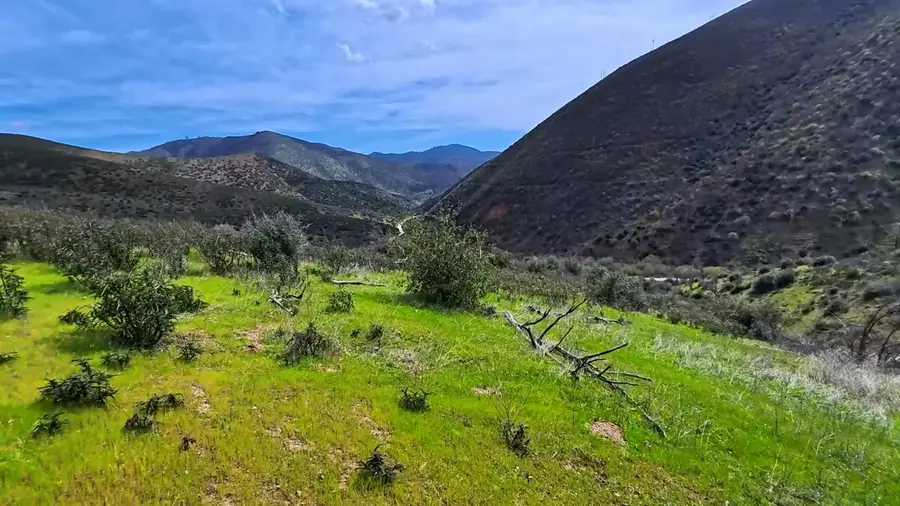 000 French Gulch Road, French Gulch, CA 96033 - #2