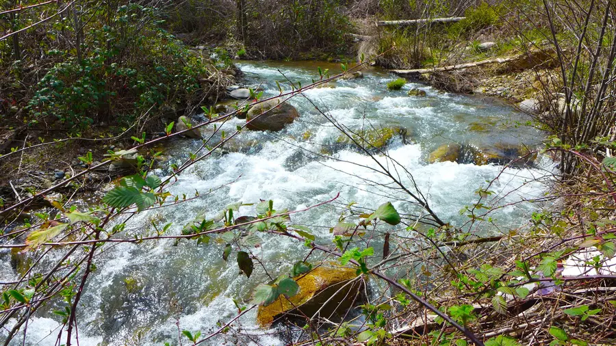 000 French Gulch Road, French Gulch, CA 96033 - #3