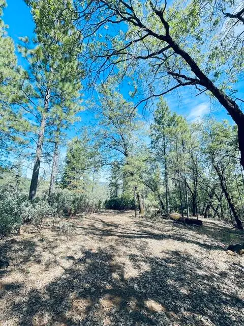 001 Oak Run Road, Oak Run, CA 96069 - #2