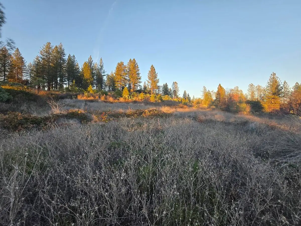 Donkey Mine Road, Oak Run, CA 96069 - #1