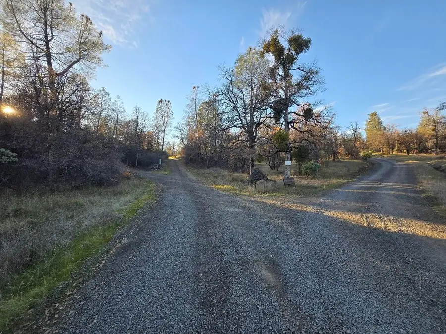 Donkey Mine Road, Oak Run, CA 96069 - #3